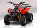 ATV 110 Grizly